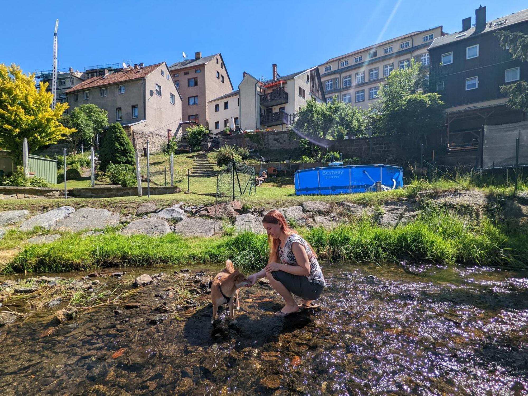 Gemütliche Urlaubsoase mit Pool, Sauna&Terrasse - UO Sebnitz Exterior foto