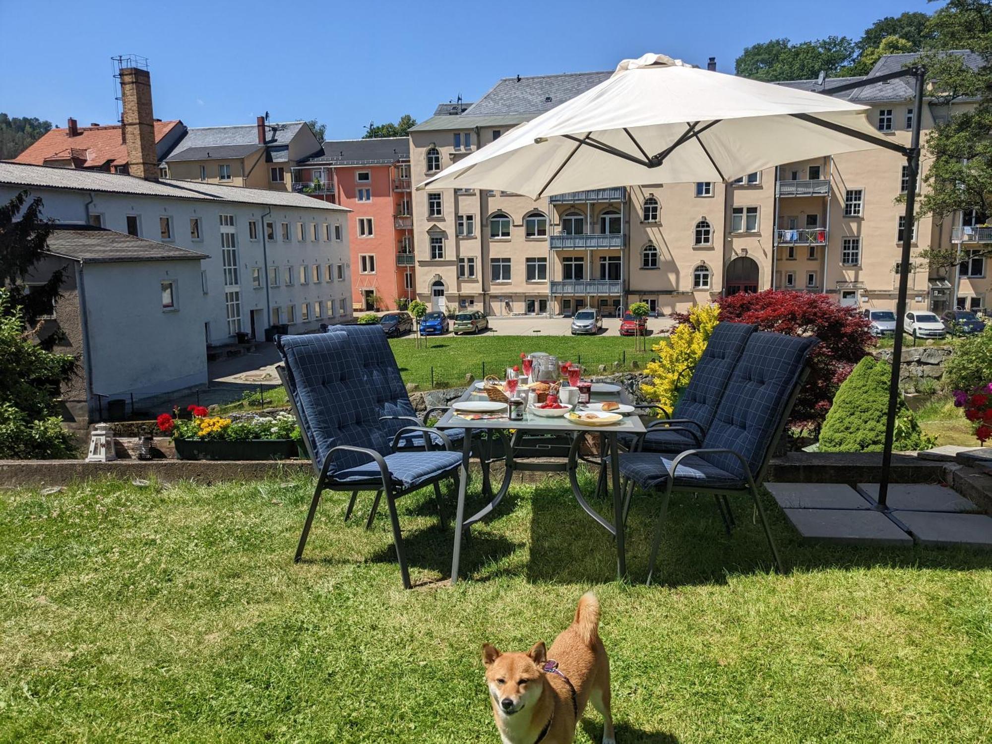 Gemütliche Urlaubsoase mit Pool, Sauna&Terrasse - UO Sebnitz Exterior foto