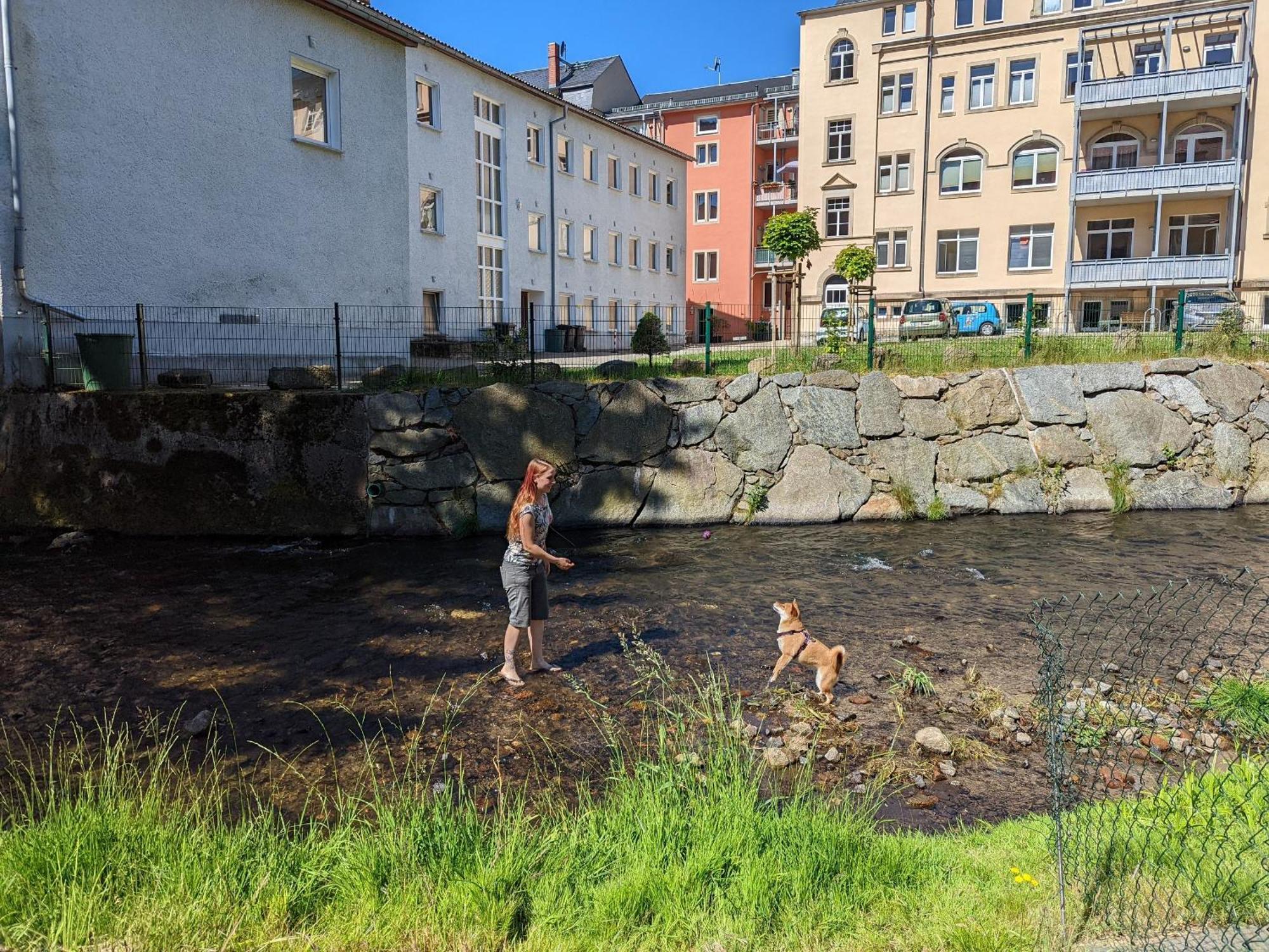 Gemütliche Urlaubsoase mit Pool, Sauna&Terrasse - UO Sebnitz Exterior foto