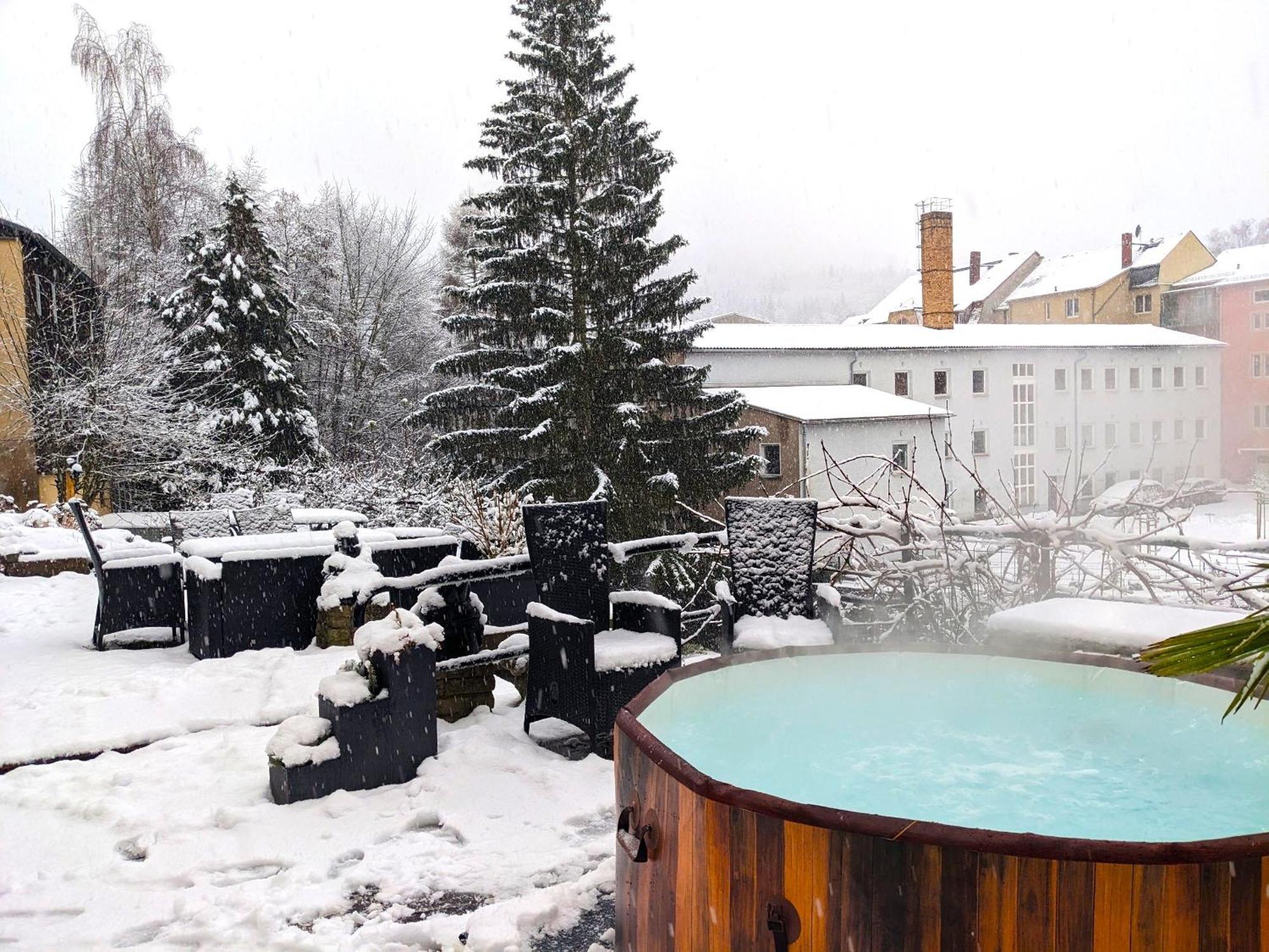 Gemütliche Urlaubsoase mit Pool, Sauna&Terrasse - UO Sebnitz Exterior foto