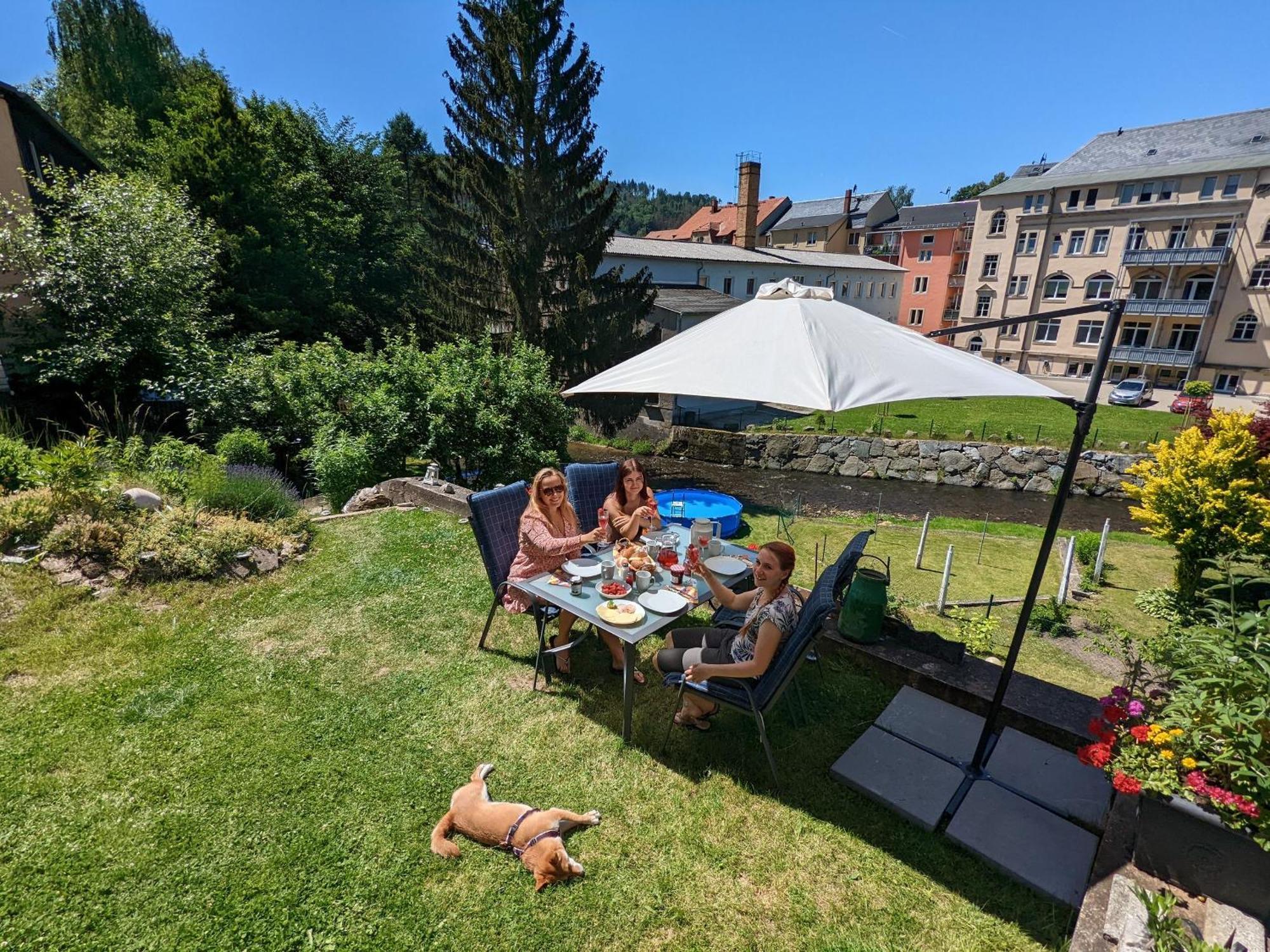 Gemütliche Urlaubsoase mit Pool, Sauna&Terrasse - UO Sebnitz Exterior foto